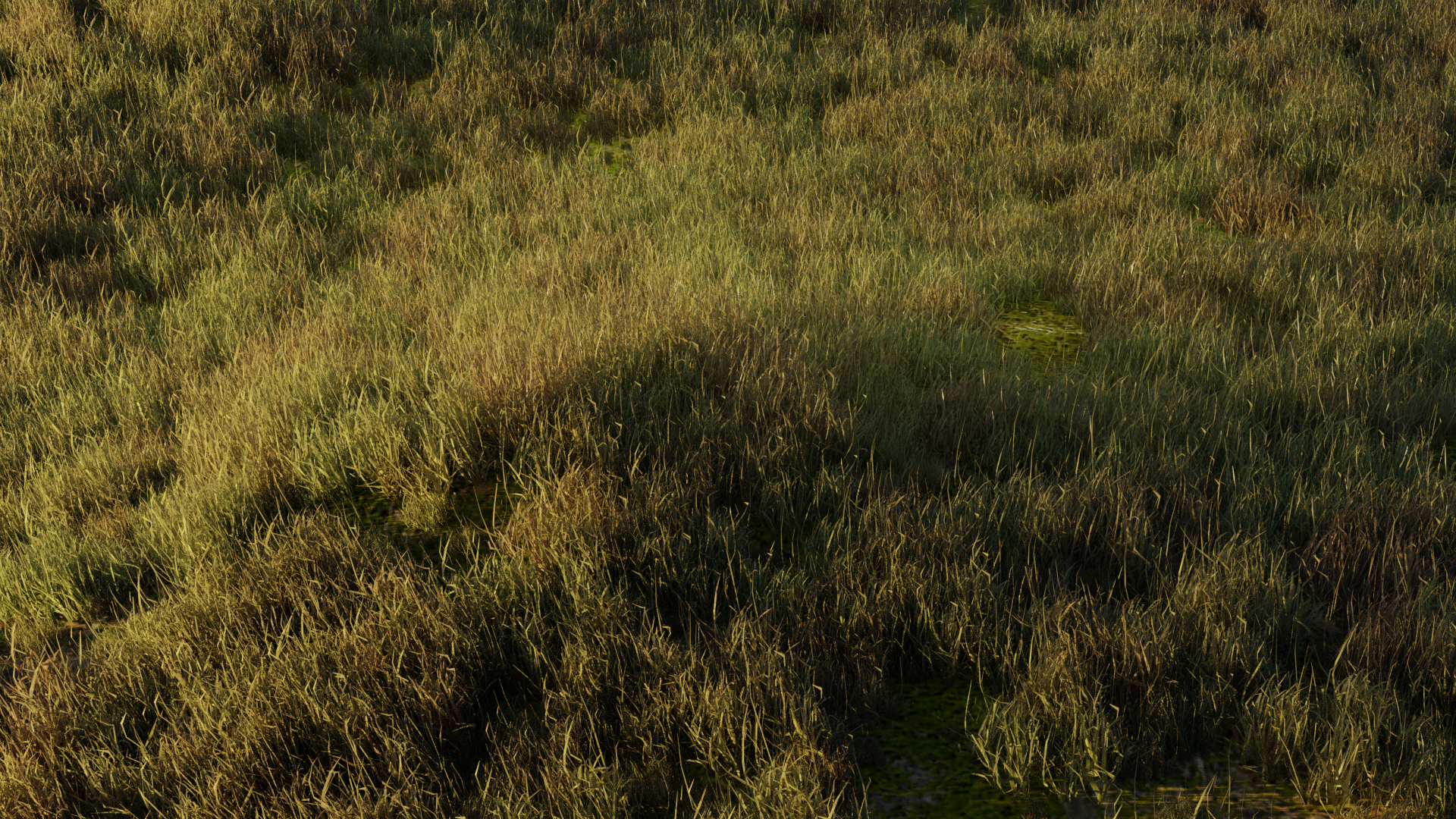 Simple Realistic Grass preview image 1